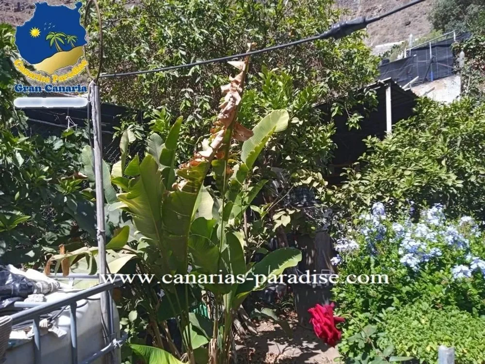 Chalet pareado · Mogán · Gran Canaria (2)