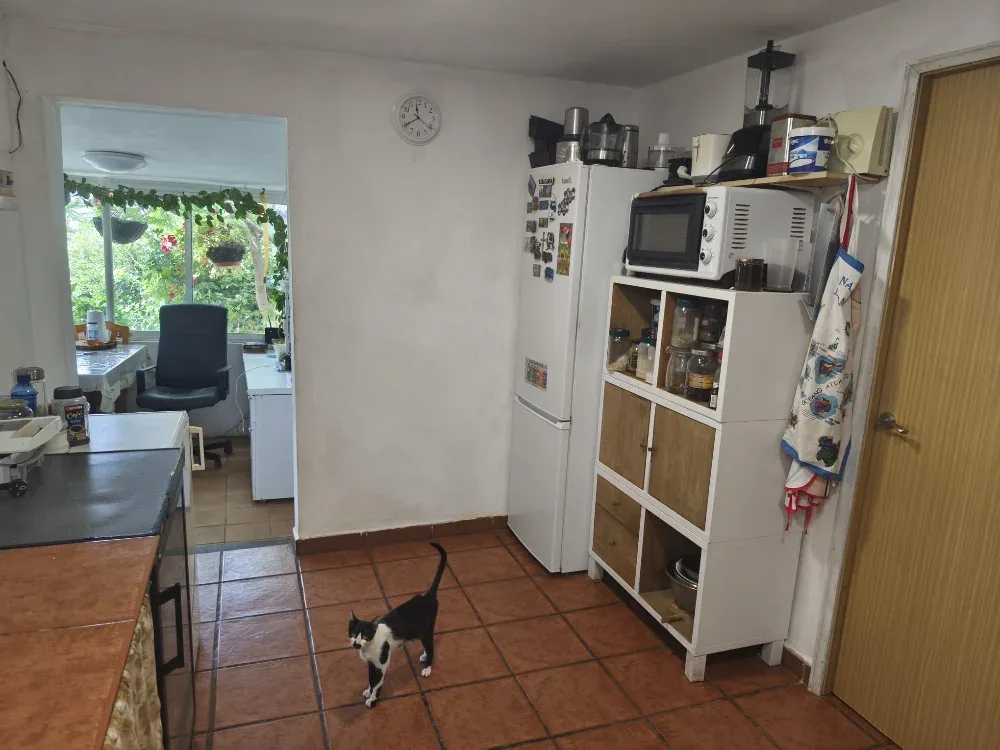Vivienda · Locality Lomo Salas · Gran Canaria (13)
