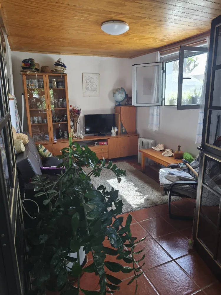 Vivienda · Locality Lomo Salas · Gran Canaria (18)