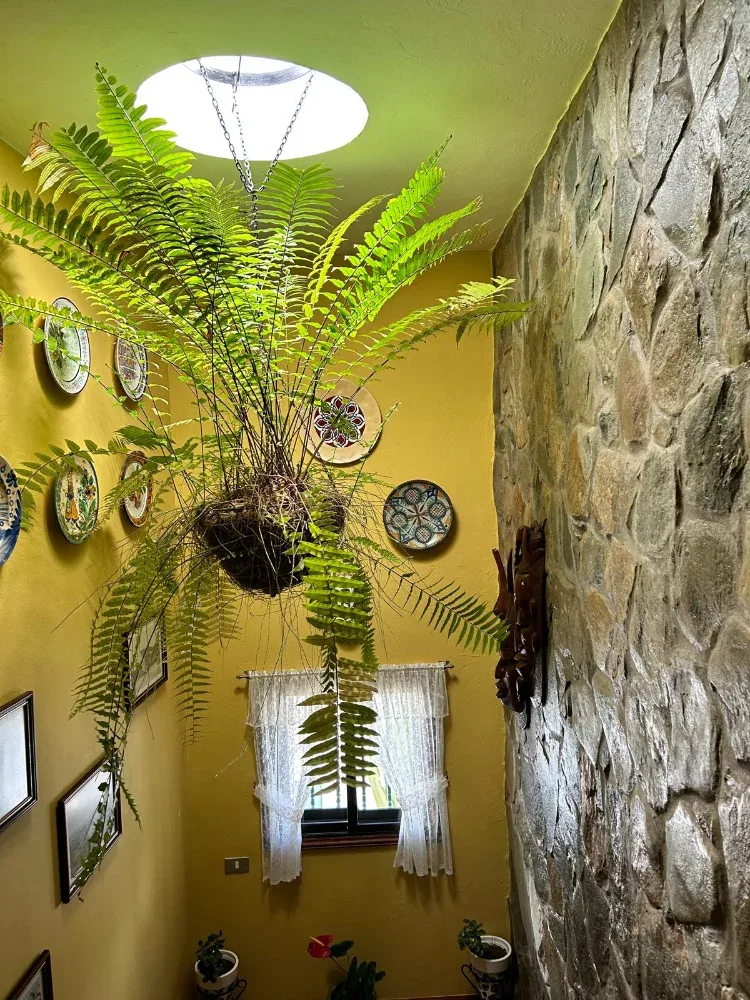 Chalet independiente · Gáldar · Gran Canaria (19)