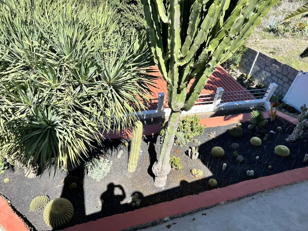 Chalet independiente · Gáldar · Gran Canaria (37)
