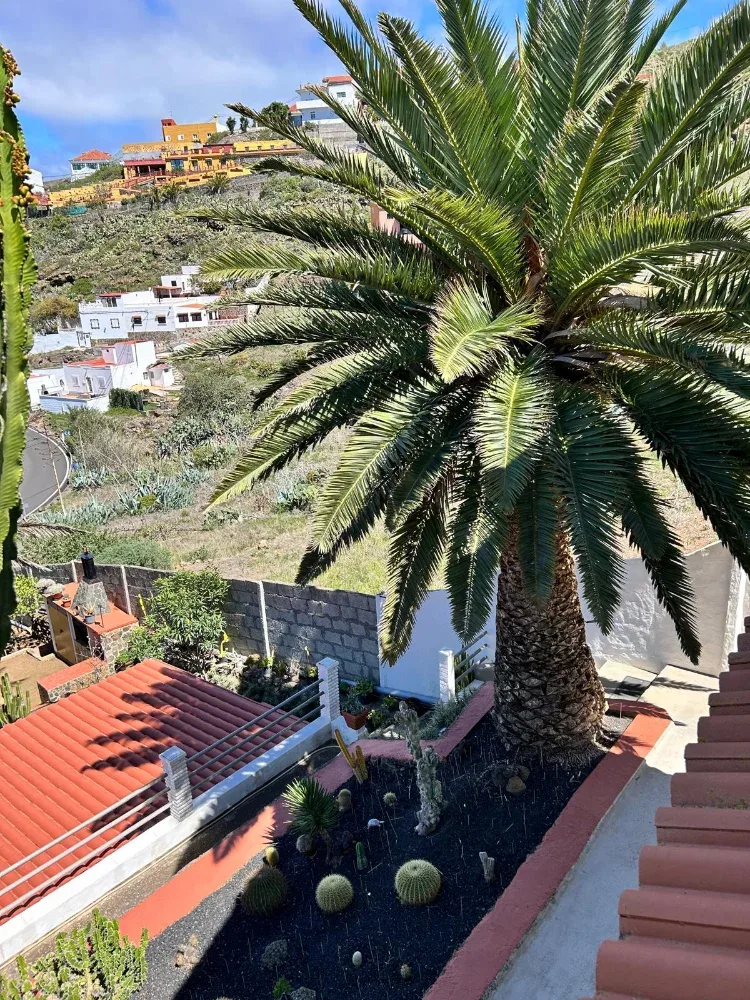 Chalet independiente · Gáldar · Gran Canaria (38)